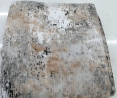 Welsoft Halı Örtüsü  6 Metrekare