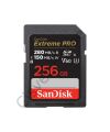 SanDisk Extreme PRO 256GB V60 SD cards